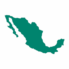 Coordinación Estatal de Protección Civil u Homólogo